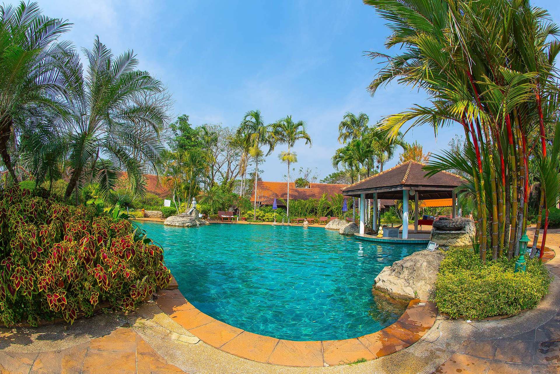 Afternoon pool